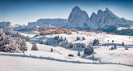 Wall murals Dolomites Christmas postcard. Beautiful winter view of Alpe di Siusi ski resort with Plattkofel peak on background. Spectacular morning scene of Dolomite Alps, Ityaly, Europe. Untouched winter landscape..