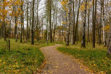 Types of Sergeevka park and the former Leuchtenberg Palace near Peterhof.