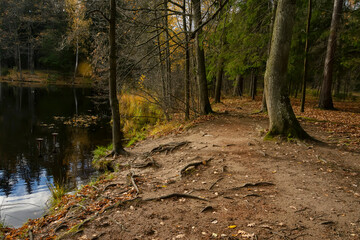 Autumn landscapes in the Sergeevka park on the territory of the former estate of the Leuchtenbergskys in the Leningrad region.