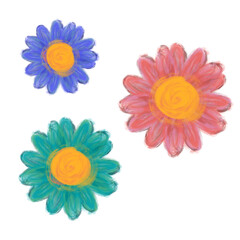 colorful daisy flowers watercolor 