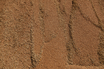 Uncleaned unsorted grain with debris after being harvested by a combine.