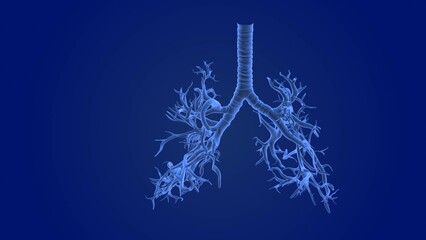 Human respiratory system medical background - obrazy, fototapety, plakaty