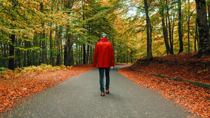 Old man in red jacket walking on the road into the deep forest in Autumn