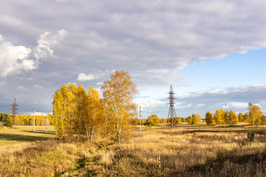 Bright sunny day in autumn. Landscape, bright yellow forest and grass against a dark sky. Dramatic sky on yellow background.