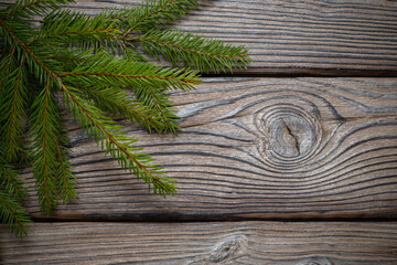 fir branch on old dark wooden background