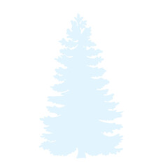Spruce