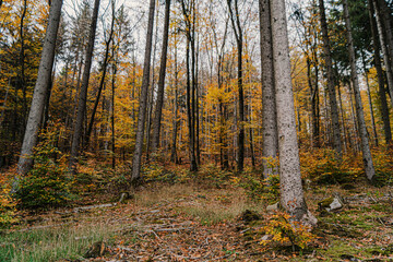 Obraz premium Kronenburg, NRW