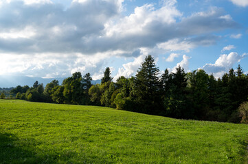 Paysage des montagnes de Slovénie à l'automne autour de Postojna avec pré et forêt