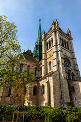 Obraz premium St. Peter's Cathedral in Geneva, Switzerland