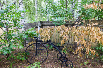 Old Vintage tricycle in backyard of country house