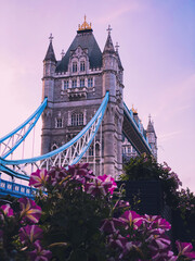 tower bridge with flowers © Bahaa