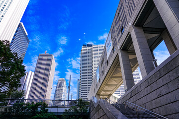 Fototapeta na wymiar 秋晴れの東京都庁前から西新宿の高層ビル群