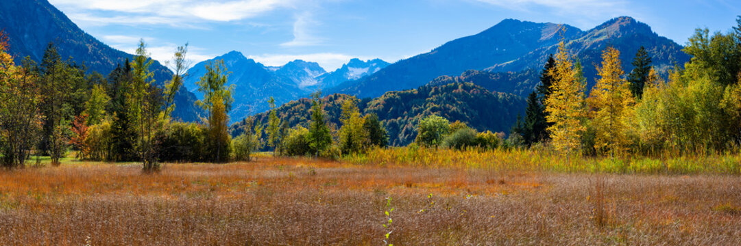Germany, Bavaria, Panoramic view of alpine moor in autumn