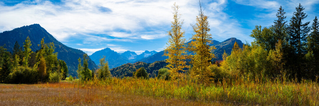 Germany, Bavaria, Panoramic view of alpine moor in autumn