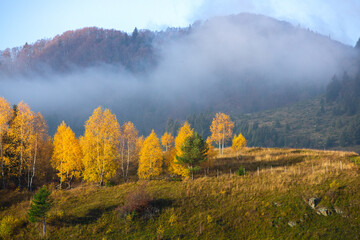 Charming autumn landscape in the Carpathian mountains in Romania