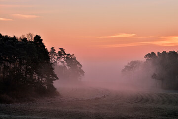 Rural field at foggy morning