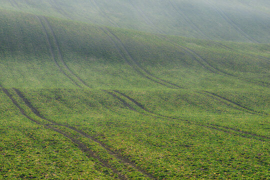 Tire tracks stretching across rolling field in early spring