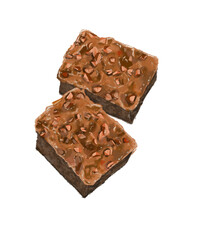 chocolate bar with nuts