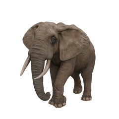 African elephant walking. 3D illustration.