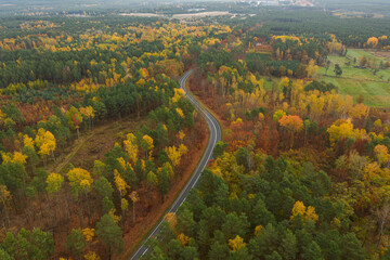 Rozległa równina porośnięta mieszanym, iglasto liściastym lasem. Środkiem przebiega asfaltowa droga. Jest jesień liście mają żółty i brązowy kolor. Zdjęcie z drona.