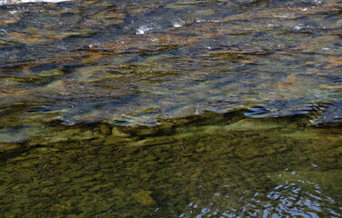 Umpqua River in the Cascade Range, Oregon