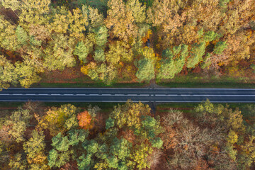 Rozległa równina porośnięta mieszanym, iglasto liściastym lasem. Środkiem przebiega asfaltowa droga. Jest jesień liście mają żółty i brązowy kolor. Zdjęcie z drona. - 542371928