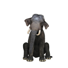 Fototapeta premium Indian elephant sitting. 3D illustration.