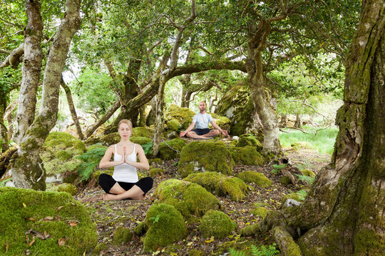 Meditation In The Forest