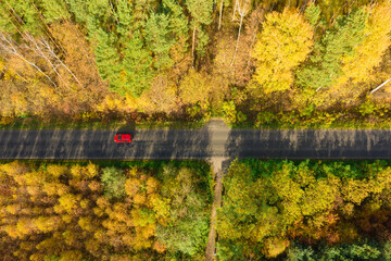 Rozległa równina porośnięta mieszanym, iglasto liściastym lasem. Środkiem przebiega asfaltowa droga. Jest jesień liście mają żółty i brązowy kolor. Zdjęcie z drona. - 542372372