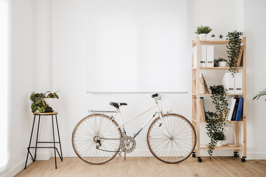 Bicycle by shelf in front of white wall at modern office