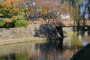 Fototapeta na wymiar 八幡堀の秋の風景