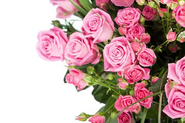 Beautiful pink roses on background