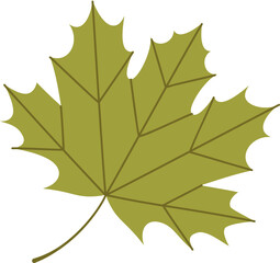 Fototapeta premium Autumn maple leaf. Flat vector illustration.