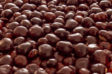 Horizontal photo of horse chestnut (Aesculus hippocastanum) autumn background, dark shade, high resolution