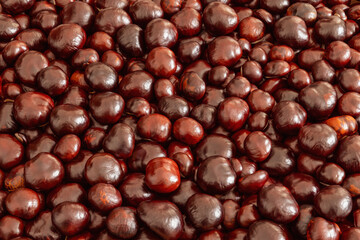 Horizontal photo of horse chestnut (Aesculus hippocastanum) autumn background, high resolution