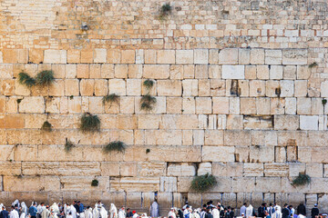 JERUSALEM, ISRAEL - SEPTEMBER 21, 2022: Jewish believers praying at the Western wall. Thesp called...