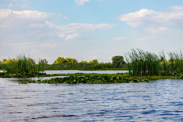The swamps and wilderness of the Danube Delta in Romania