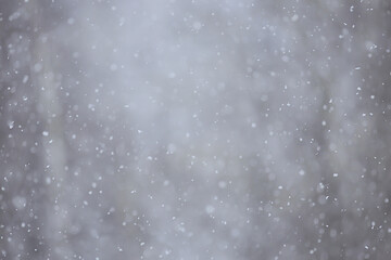 abstract background snowfall overlay winter christmas seasonal snow