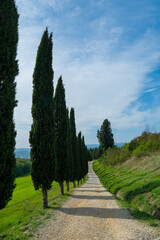 beautiful Italian details, hills and landscape