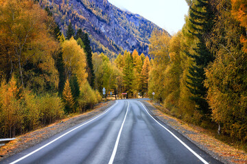 autumn highway view, freedom travel landscape