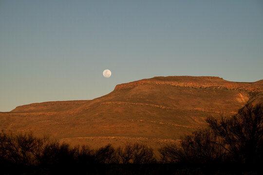 1,400+ Full Moon Rising Stock Photos, Pictures & Royalty-Free Images -  iStock