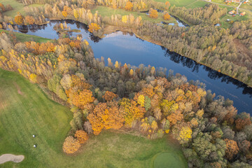 Aerial view on multicolored trees in autumn, and green grass, forest, wild nature, river, contrasts. Beautiful autumn in the village. Golf course. 