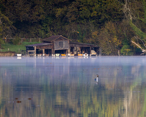 Fototapeta na wymiar Bootshaus am Ufer eines Sees