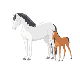 Beautiful mare with a newborn foal