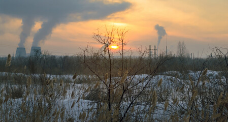 Obraz premium The sun in the evening sky framed by tree branches and smoke from a thermal power plant in the background