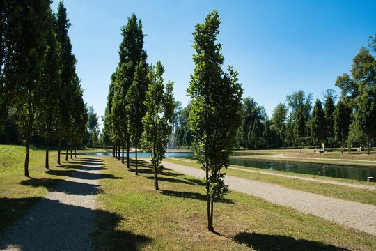Park of Seneffe, rows of trees