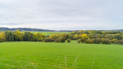 Panorama d'ardenne