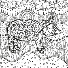 Abstract eastern pattern. Ornate square wallpaper with pig. Hand drawn waved ornaments on white. Intricate patterns on isolated background. Design for spiritual relaxation for adults. Line art