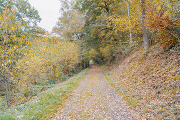 Chemin d'Ardenne