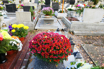 Fototapeta na wymiar Flowers on the grave at cemetery. All the Saints Day holiday